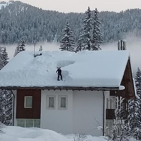 Hotel Ca' Del Bosco Selva di Cadore Exteriör bild