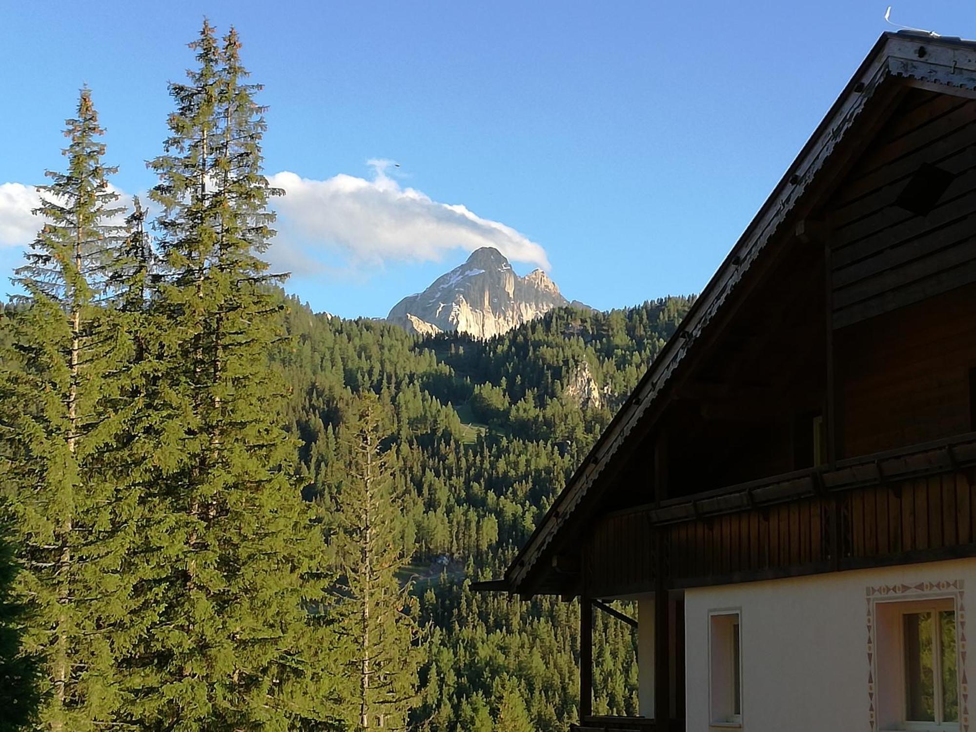 Hotel Ca' Del Bosco Selva di Cadore Rum bild