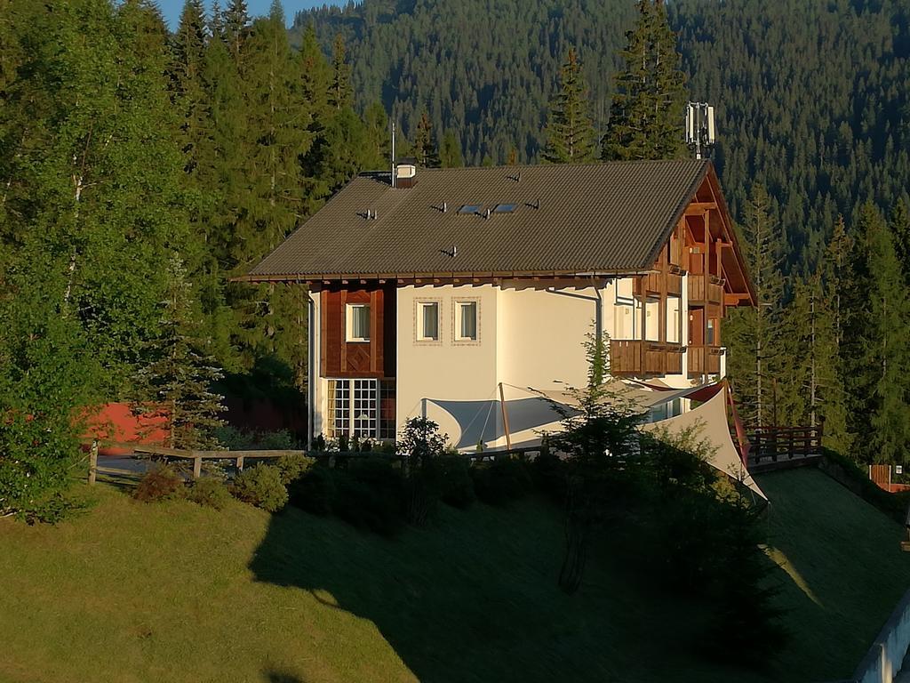 Hotel Ca' Del Bosco Selva di Cadore Exteriör bild