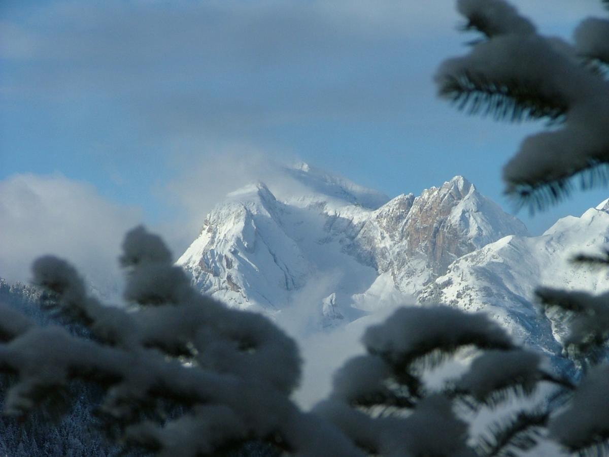 Hotel Ca' Del Bosco Selva di Cadore Exteriör bild